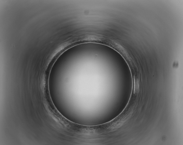 X0000096720435200802121251