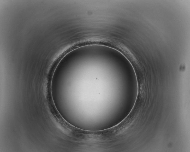 X0000096720436200802121251