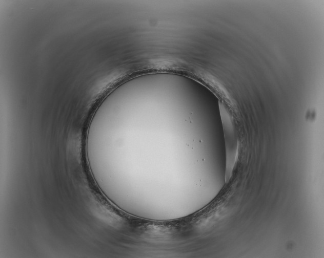 X0000096720442200802121251