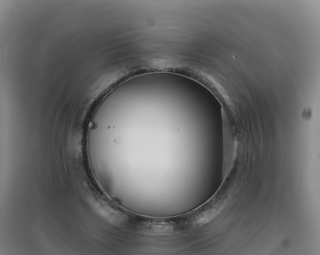 X0000096720443200802121251