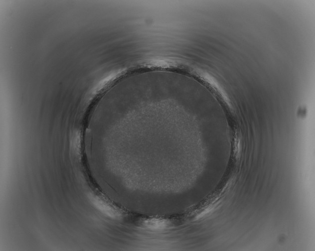 X0000096720444200802121251