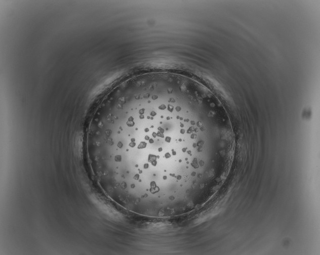 X0000096720446200802121251
