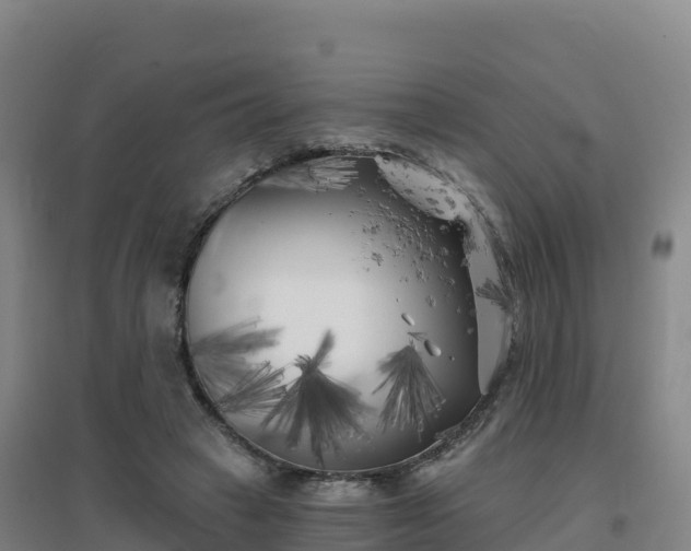 X0000096720449200802121252