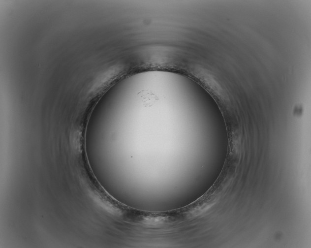 X0000096720450200802121252