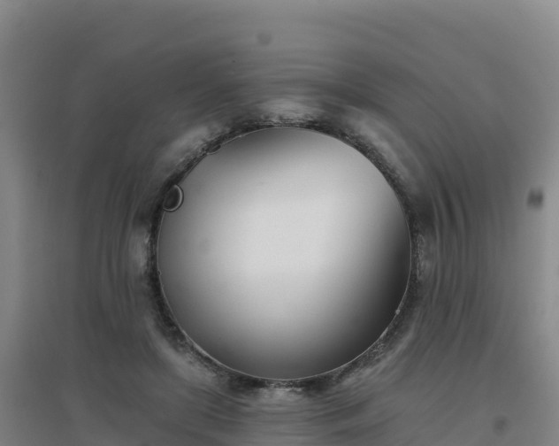 X0000096720451200802121252