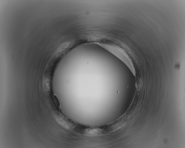 X0000096720452200802121252