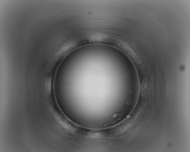 X0000096720454200802121252