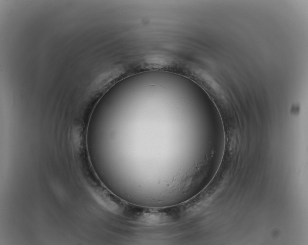 X0000096720455200802121252