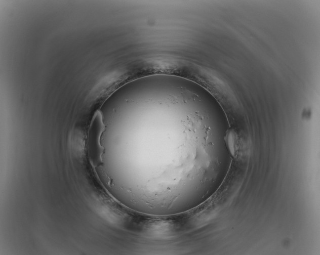 X0000096720456200802121252