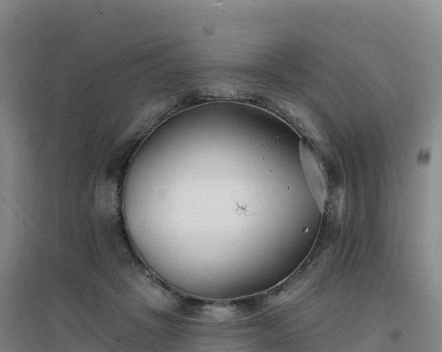 X0000096720457200802121252