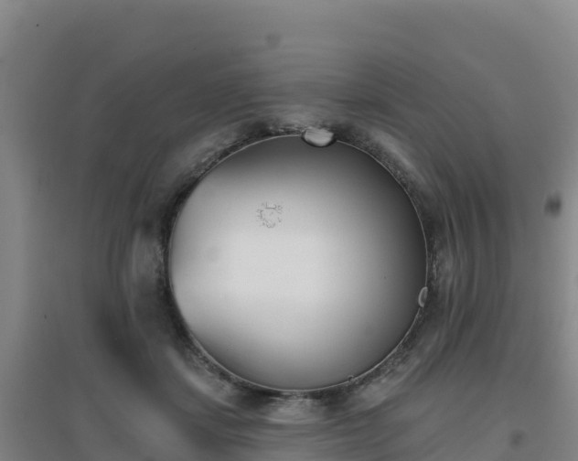 X0000096720459200802121252