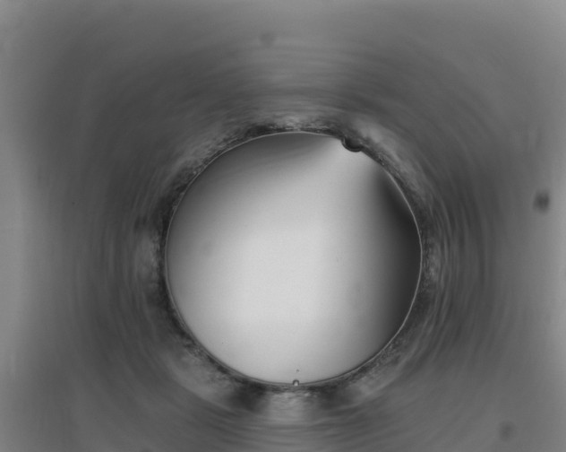 X0000096720461200802121252