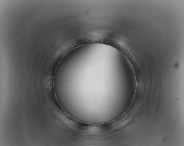 X0000096720462200802121252