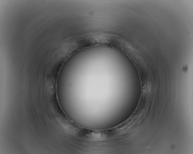 X0000096720464200802121252