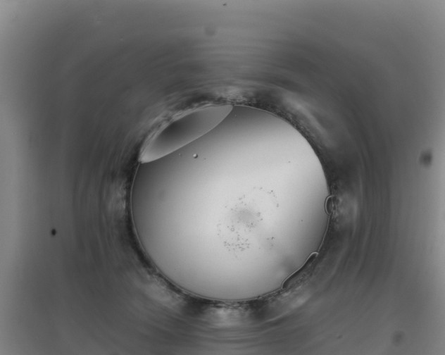 X0000096720466200802121252