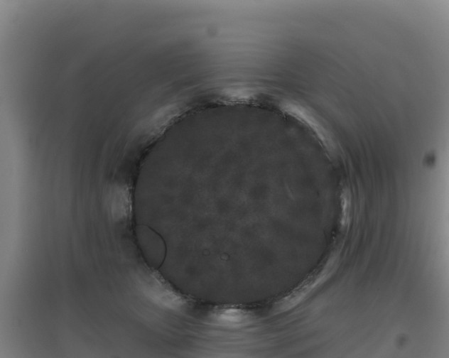 X0000096720467200802121252