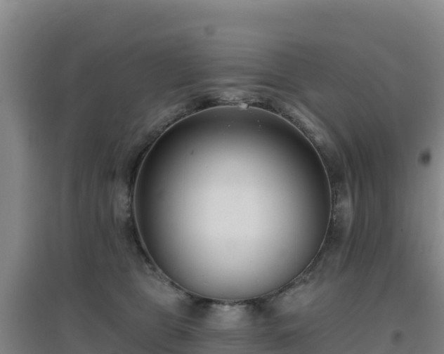 X0000096720469200802121252