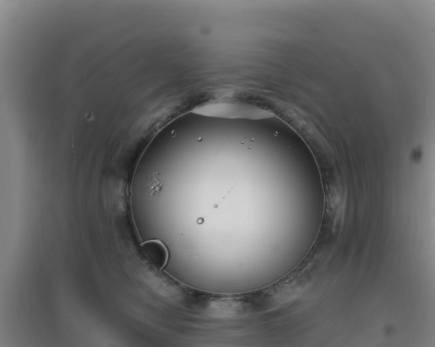 X0000096720470200802121252