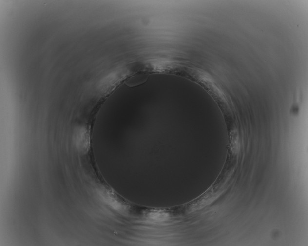 X0000096720471200802121252