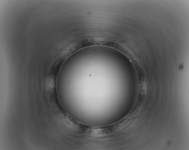 X0000096720472200802121252