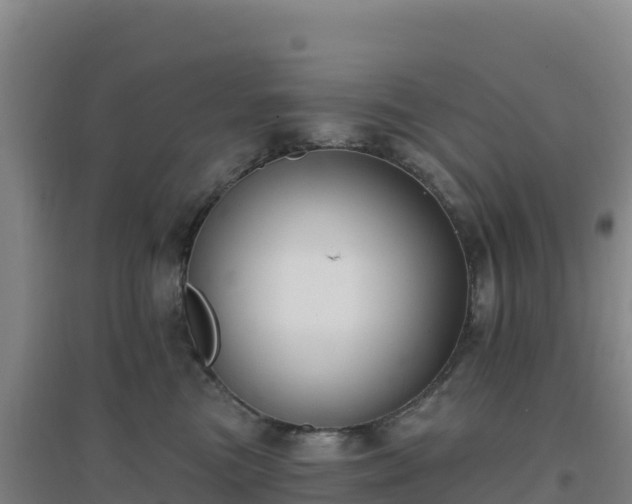 X0000096720473200802121252