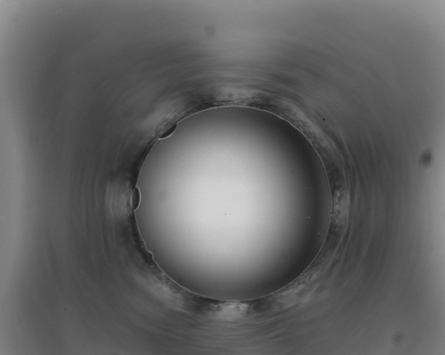 X0000096720474200802121252