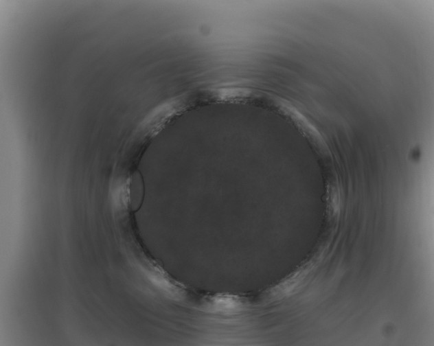 X0000096720475200802121252