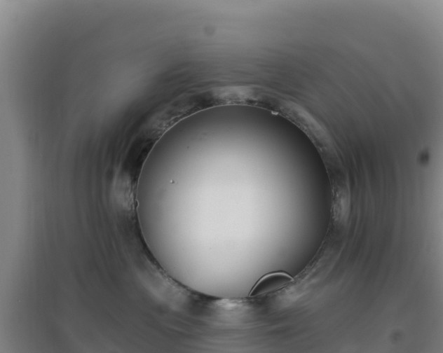 X0000096720477200802121252