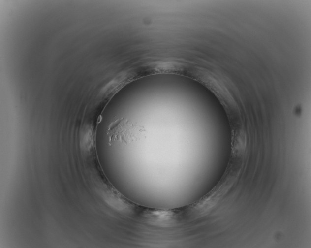 X0000096720478200802121252