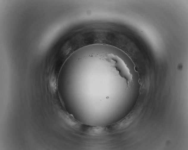 X0000096720479200802121252