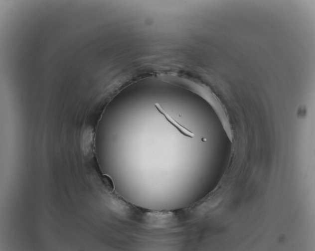 X0000096720480200802121252