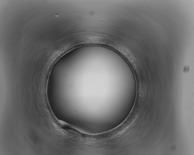 X0000096720481200802121251