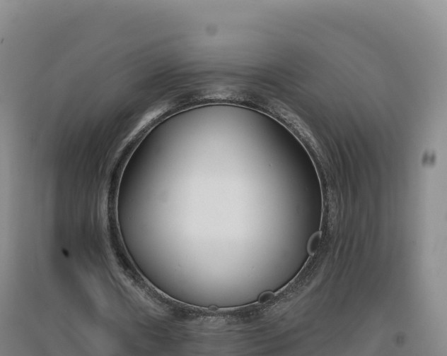 X0000096720482200802121251