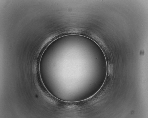 X0000096720483200802121251