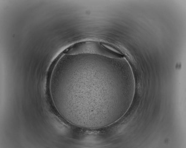 X0000096720484200802121251