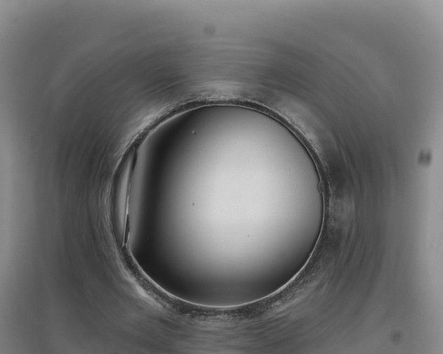 X0000096720485200802121251