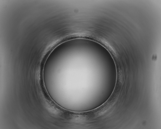 X0000096720486200802121251