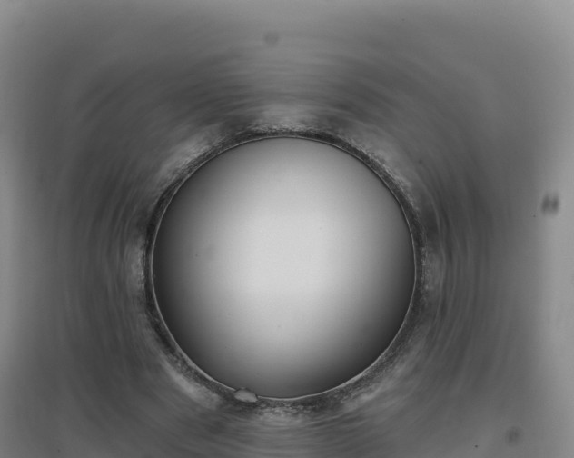 X0000096720489200802121251