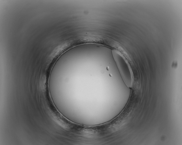 X0000096720490200802121251