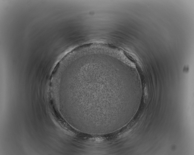 X0000096720492200802121251