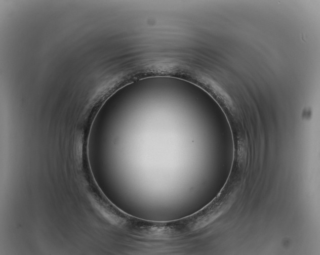 X0000096720493200802121251