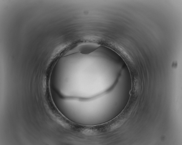 X0000096720494200802121251