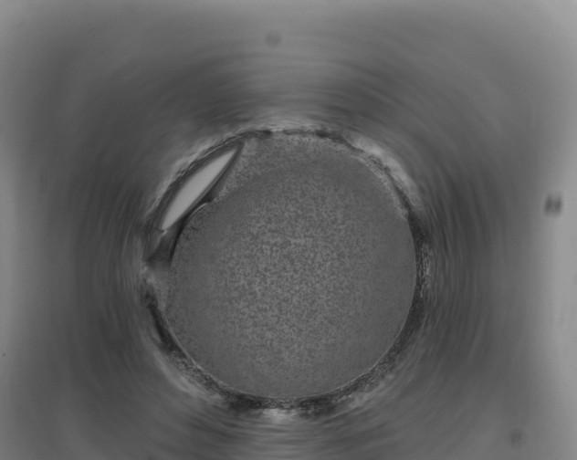 X0000096720496200802121251