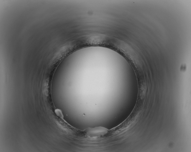 X0000096720497200802121251