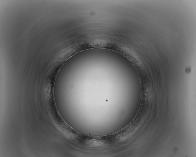 X0000096720498200802121251