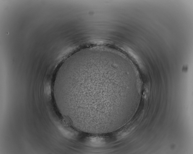 X0000096720500200802121251
