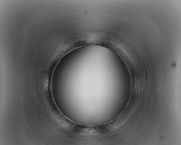 X0000096720502200802121251