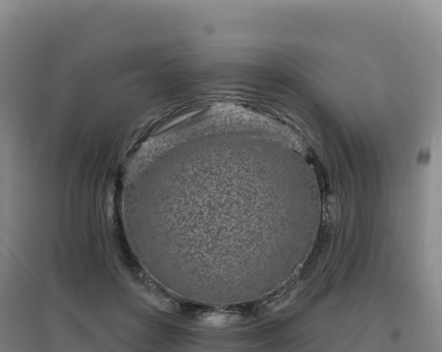 X0000096720504200802121251