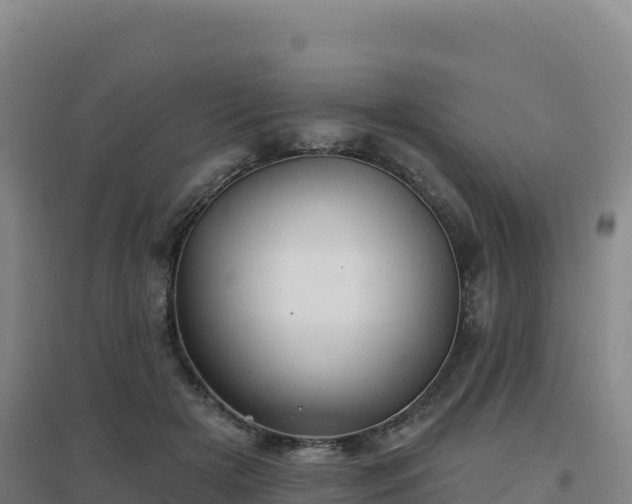 X0000096720505200802121251