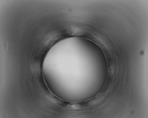 X0000096720506200802121251